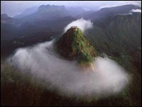 NUWARA ELIYA / ADAMSPEAK